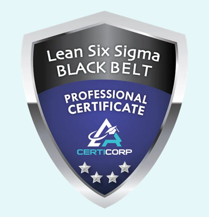 LEAN SIX SIGMA BLACK BELT